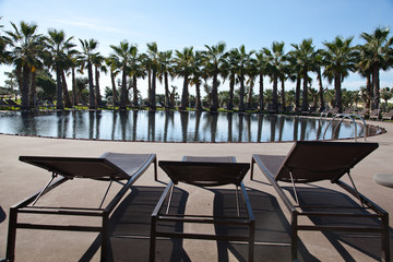 Palmeras, hamacas y piscina. Albufeira, Portugal