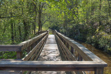 Fototapeta premium Wooden Walkway