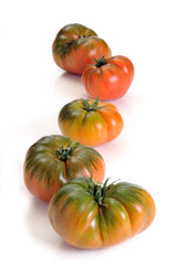 Raf Tomato, a variety of tomato from Almería, Spain - 31393903