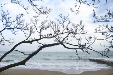 Obraz premium Winter seashore,