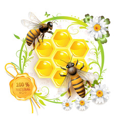 Two bees and honeycombs over floral background