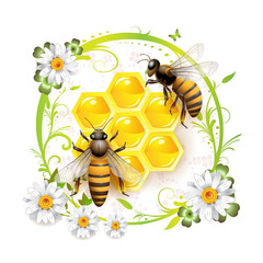 Two bees and honeycombs over floral background