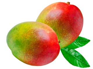 Mango isolated on white background