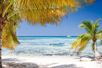 Obraz na płótnie Canvas Green palms on white sand beach under blue sky