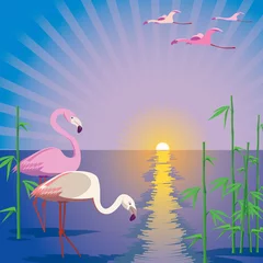Foto op Plexiglas Flamingo © Lex Kryuchin