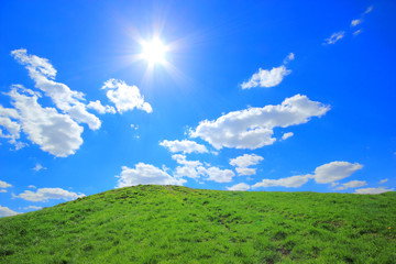 Green grass hills under midday sun