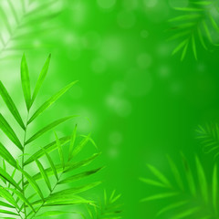 Fresh green floral background with transparent leaves