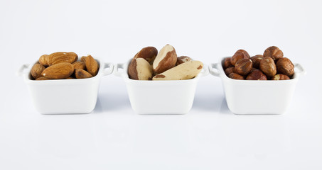 nibbles