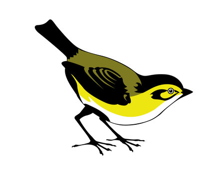 recommend clip art: silhouette of the bird on white background