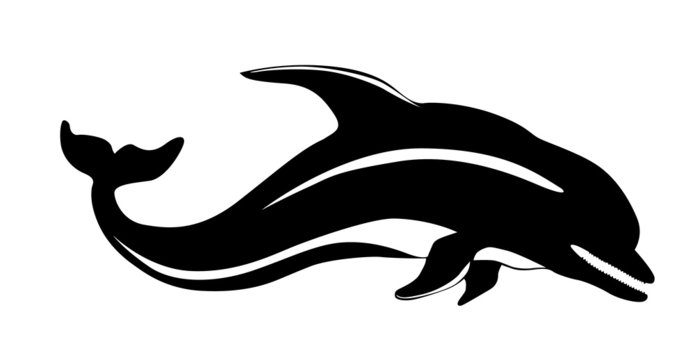 Dolphin Silhouette Images – Browse 39,679 Stock Photos, Vectors