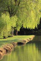 Repos au bord d'un étang