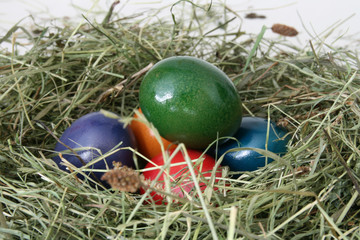 Osternest mit Heu