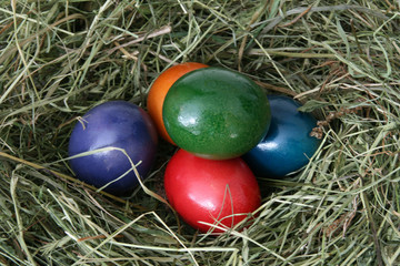 bunte Ostereier im Heu