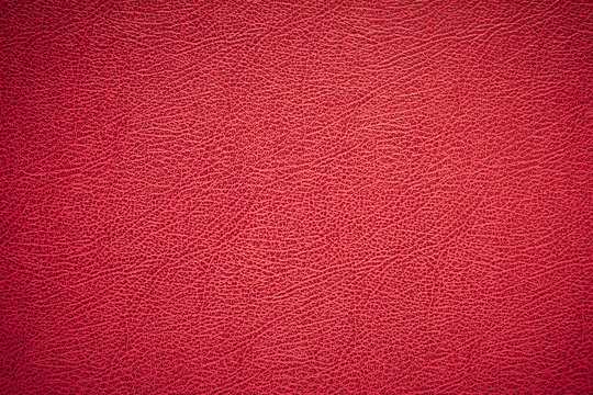 Textura de piel