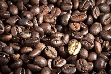 Coffee Bean Background