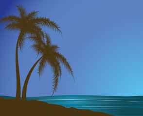Silhouettes of palm trees against the sea