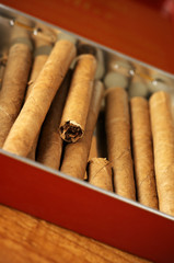 Cigars in box