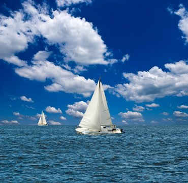 sail yacht regatta in a sea