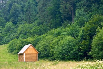 small wooden house in a forest