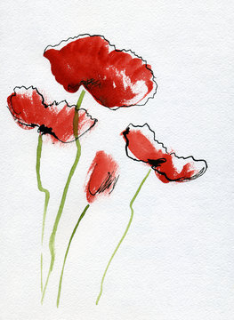 Painted watercolor poppies