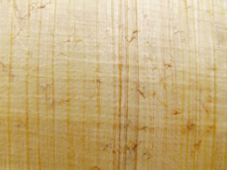 original Egyptian papyrus sheet usefulas a background
