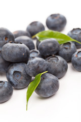 fresh blueberries