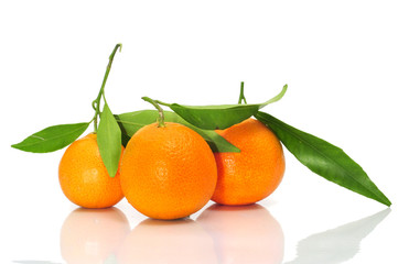 tangerines