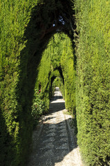 Generalife gardens in Granada, Spain