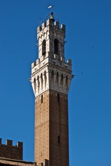 Fototapeta na wymiar torre del mangia