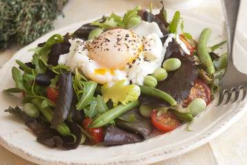 Bean and tomato salad with poached egg