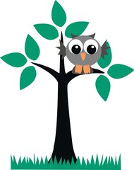 a grey owl sitting in a tree