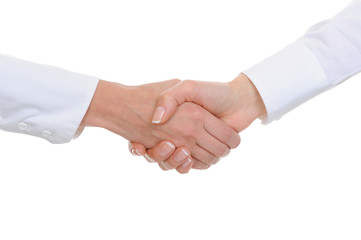 Fototapeta na wymiar Partnerzy kobiet Business handshake