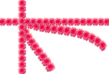 Gift box with pink rose wrap