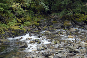 Cascade Stream