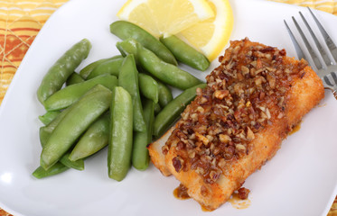 Fish Fillet Meal
