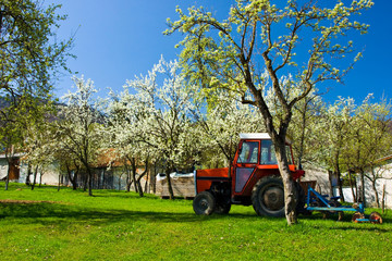 Tractor in a blossomed orchard
