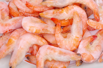 shrimp