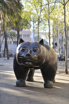 Chat du Raval de Barcelone