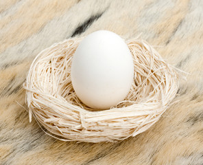 Big egg in small nest