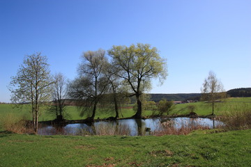 pond