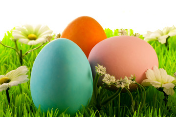 uova di cioccolato variopinte su fantasioso prato