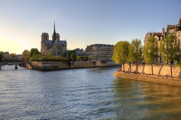 Fototapeta premium Paris (France) - Notre Dame Cathedral