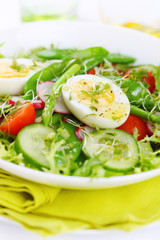 Salad with fresh asparagus, egg, cucumber, green peas and fresh herbs. Detox spring menu.