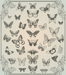 vintage stylized set of butterflies - 31455353