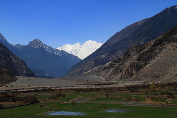 Dhaulagiri and Field