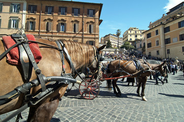 Obraz premium Piazza di Spagna in Rome, Italy