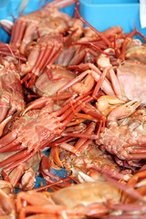 Seafood background  mediterranean crabs on sale Javea Spain
