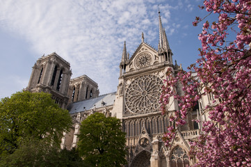 Obraz premium Beautiful view of the Notre Dame with blossoms