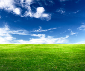 Fototapeta na wymiar background of cloudy sky and grass