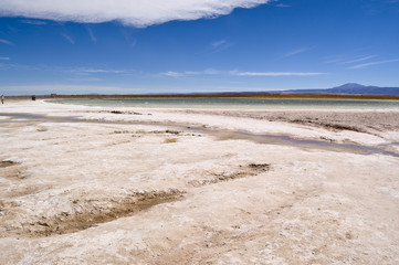 Laguna de Cejar, Chile